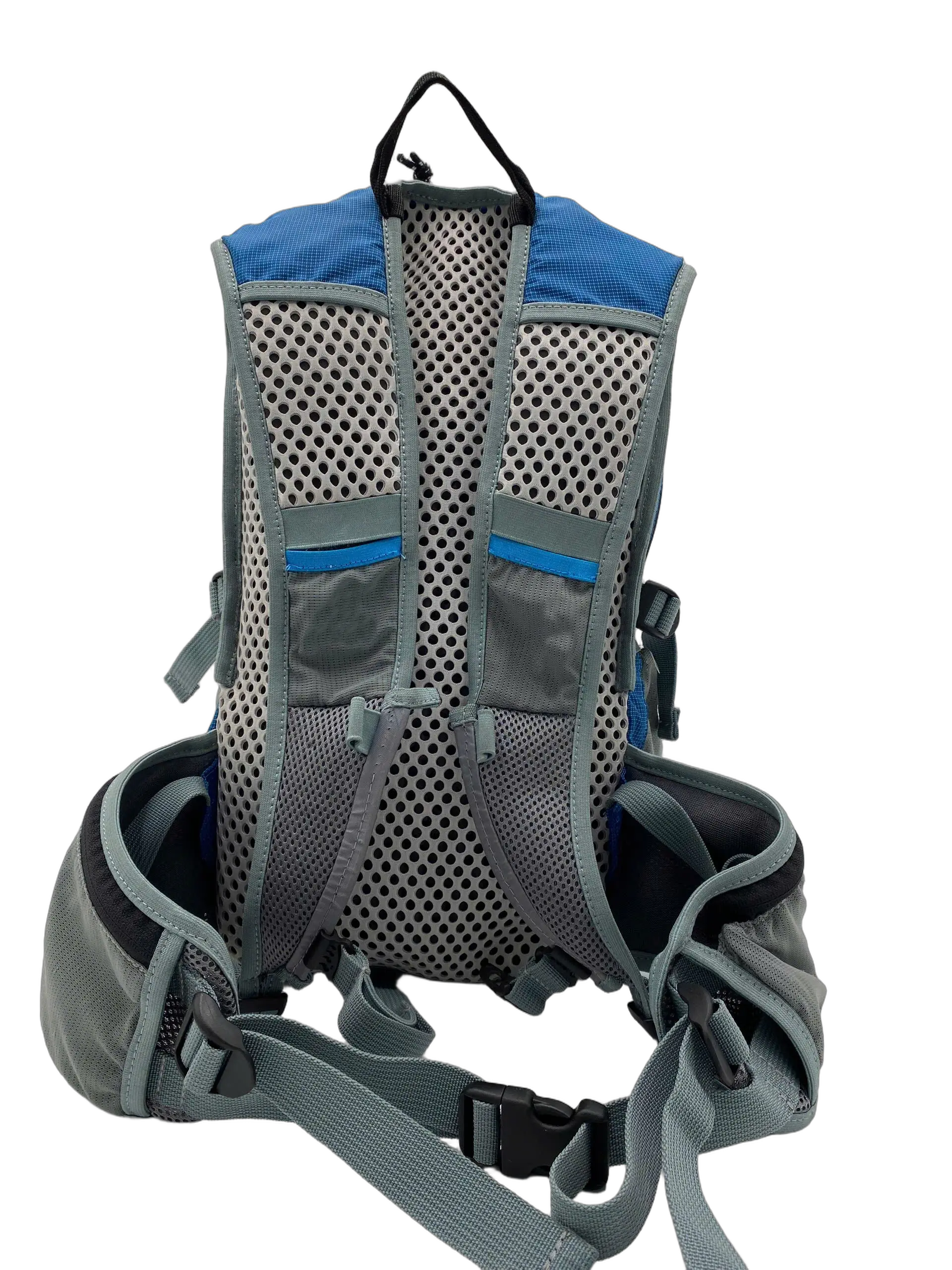 Back panel view of the 20L hiking backpack showing honeycomb mesh ventilation channels, padded shoulder straps and waist belt buckle