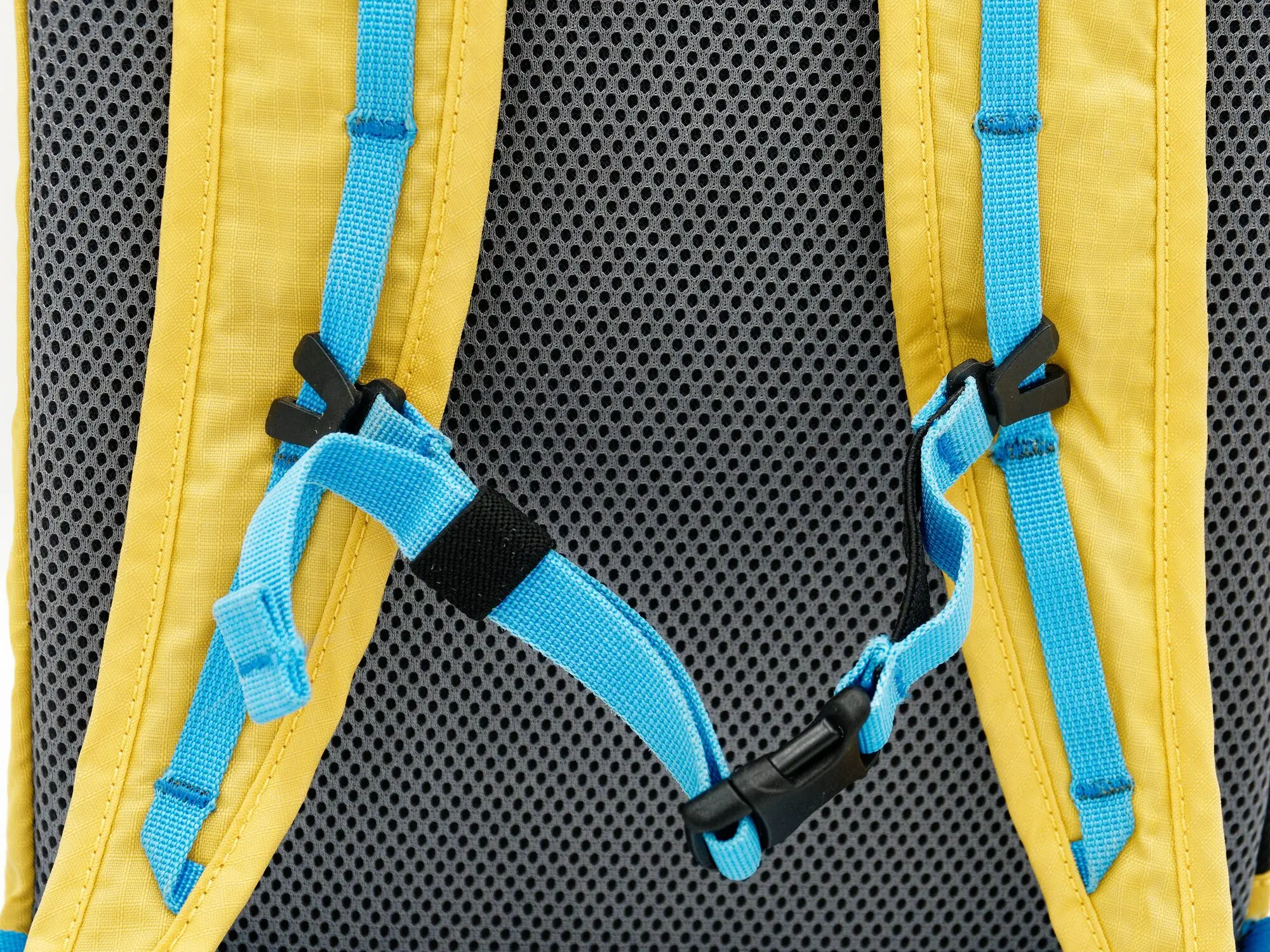 Close-up of the chest strap area on the mesh back panel showing blue webbing straps and adjustable black buckle