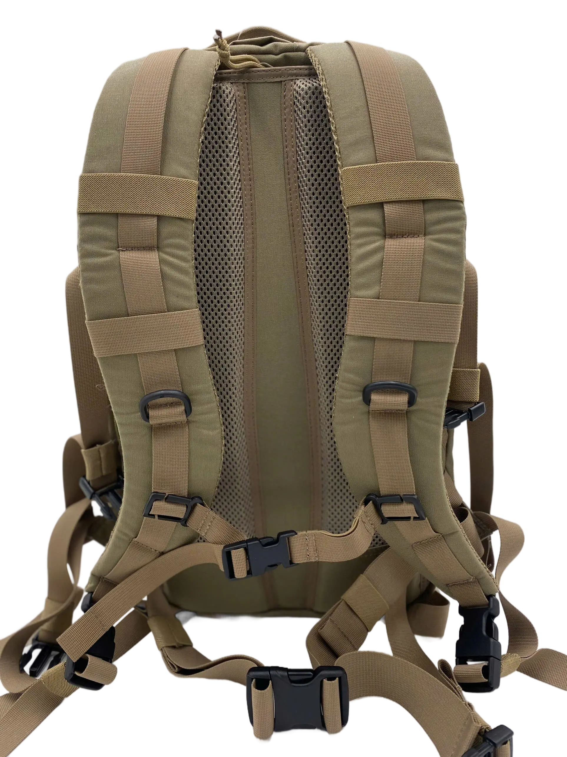 Rear view of the 20L tactical backpack showing padded mesh back panel, shoulder harness, chest strap, and waist belt clips