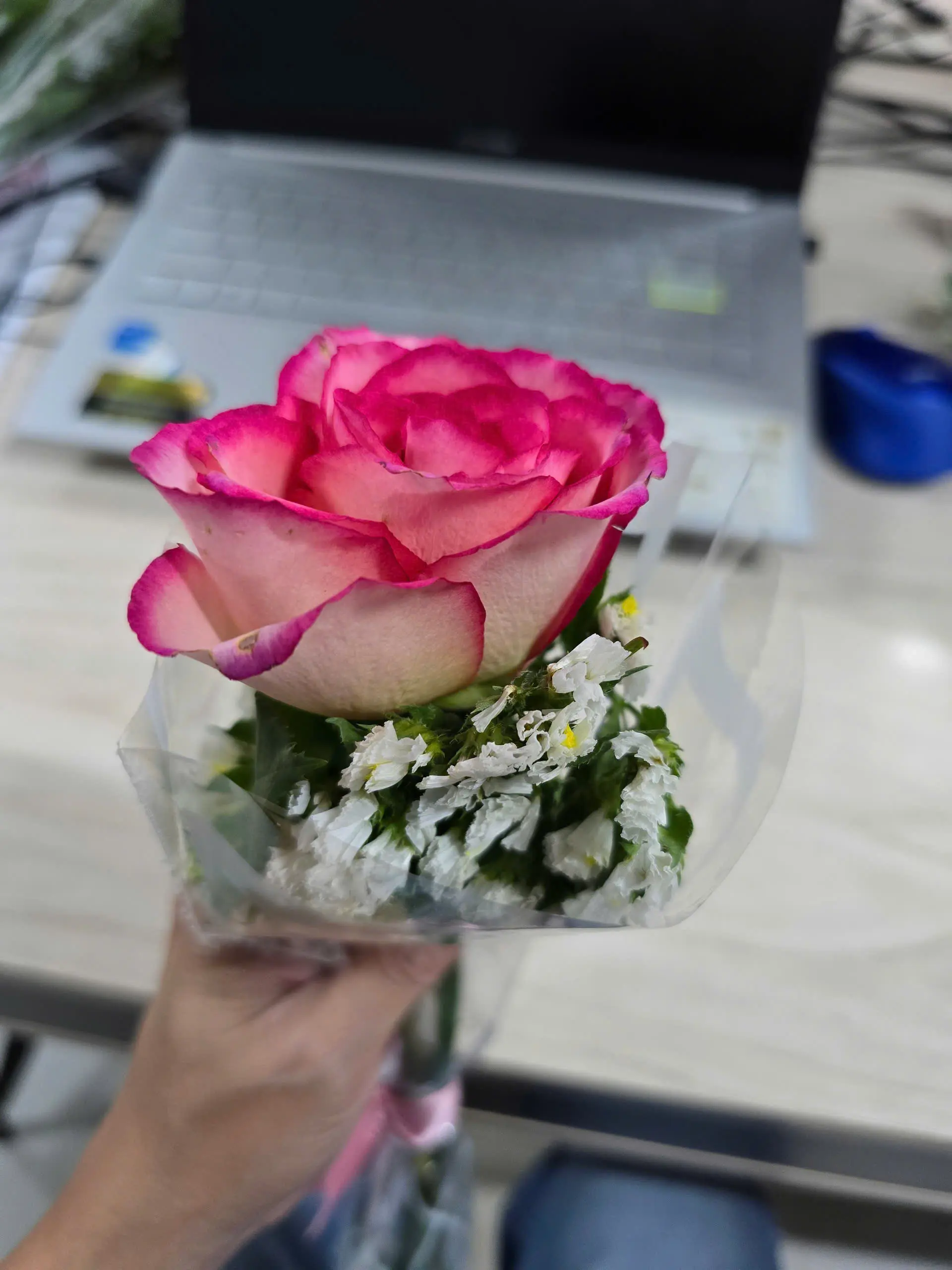 Pink rose with white filler flowers held in hand at FFG Bags factory